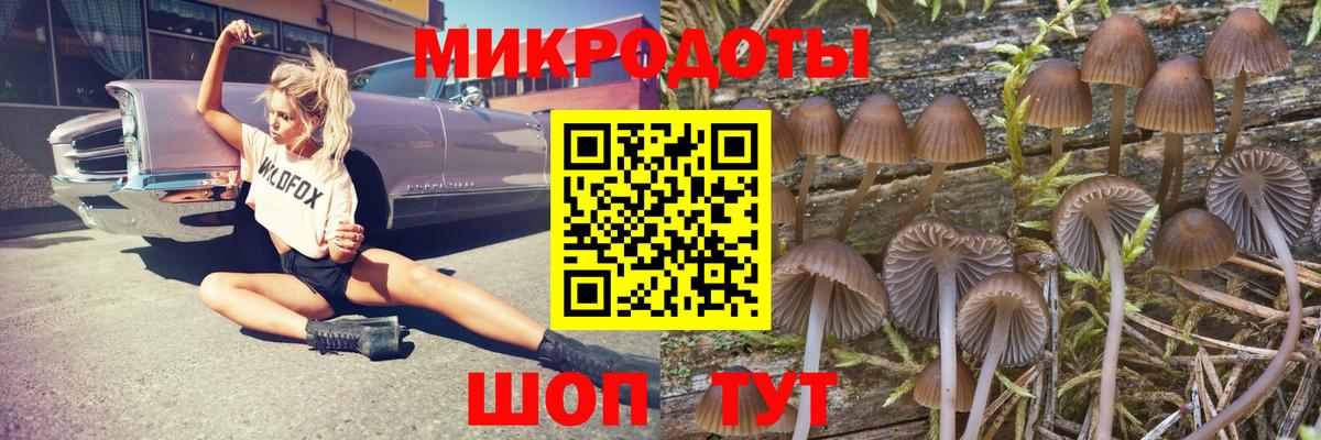 Галлюциногенные грибы MAGIC MUSHROOMS  Галлюциногенные грибы Cubensis  Мичуринск  Вход с VPN 